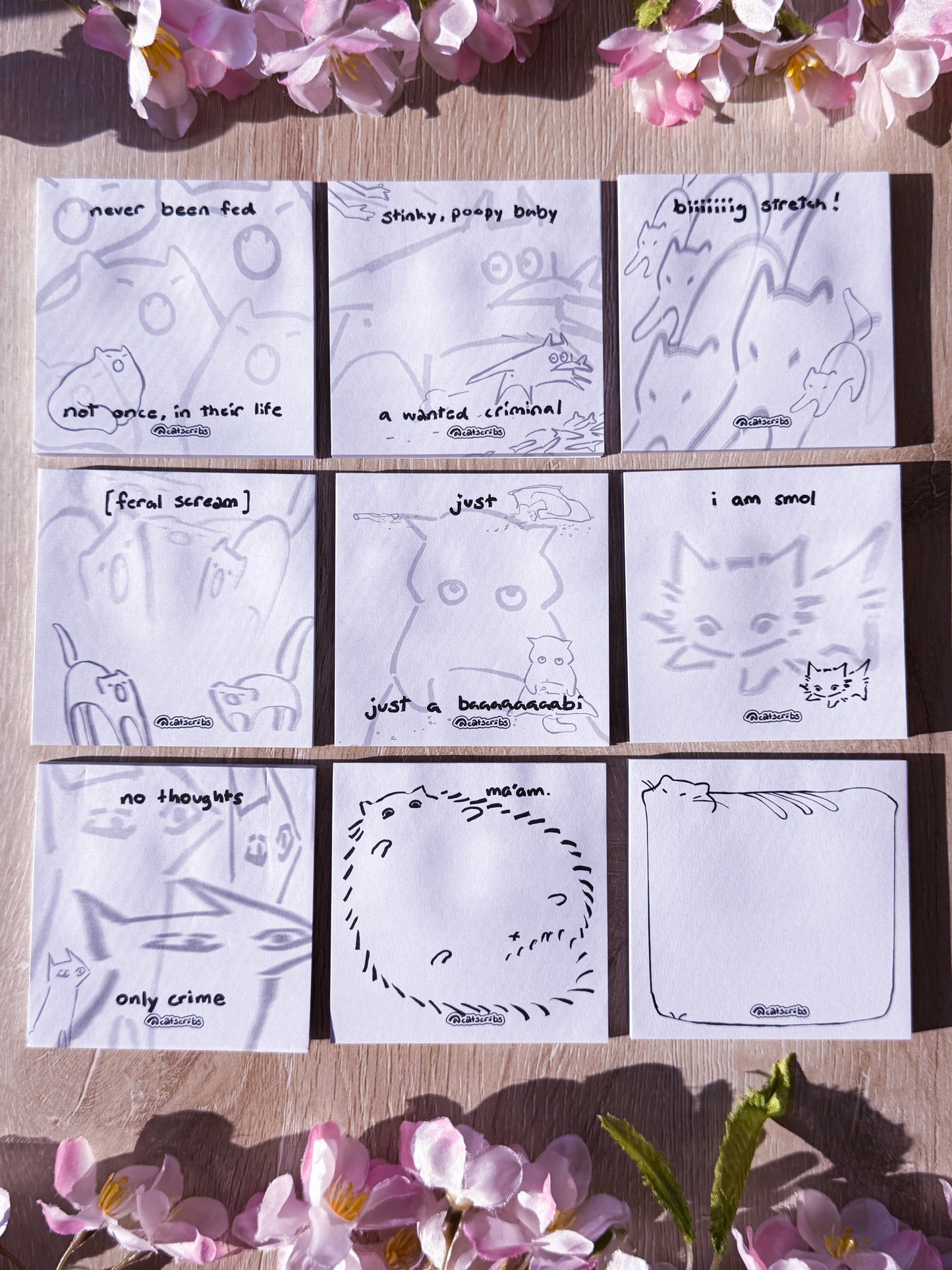 β¨π catscribs sticky notes β¨π