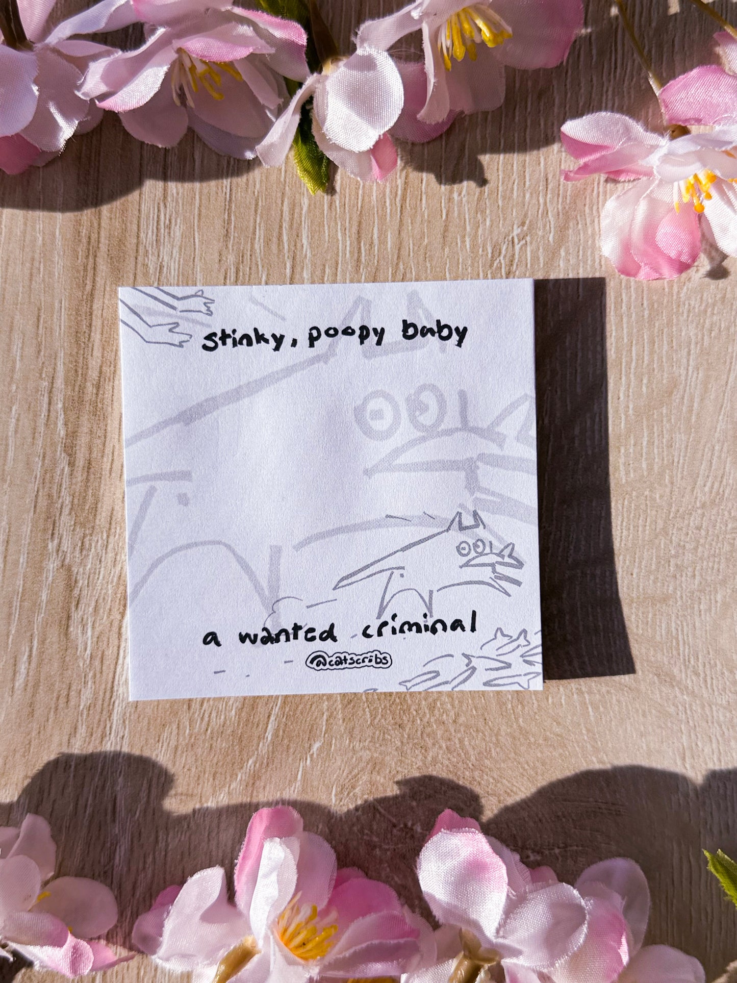 β¨π catscribs sticky notes β¨π