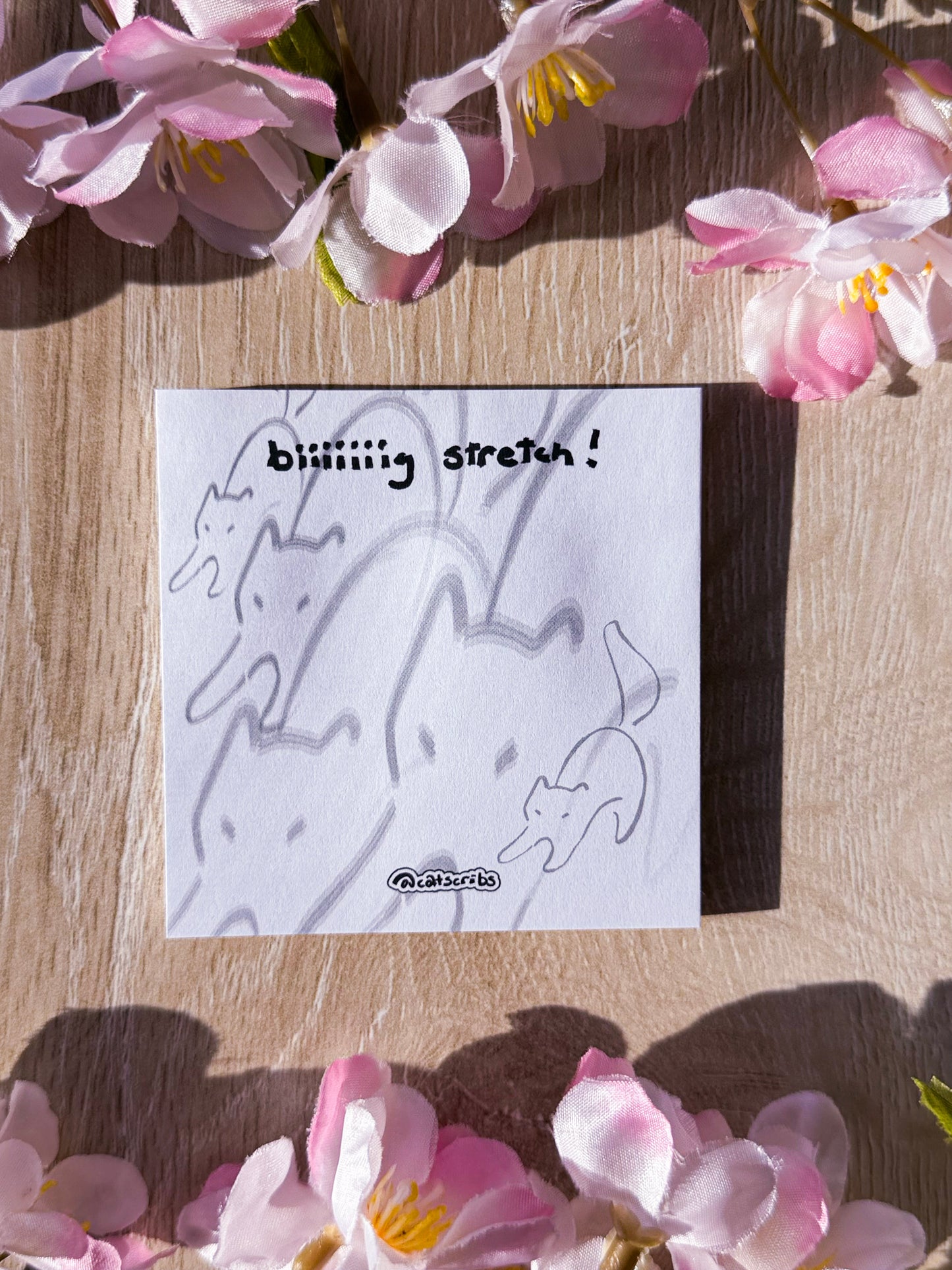 β¨π catscribs sticky notes β¨π