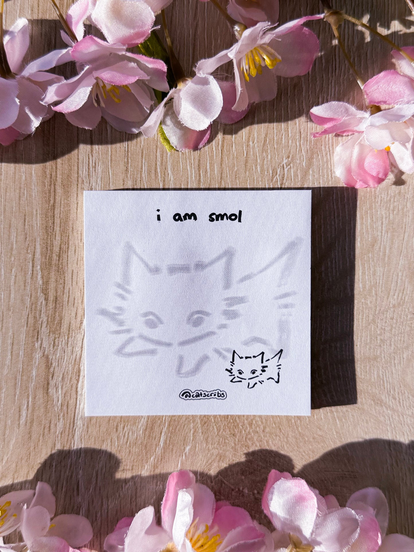 β¨π catscribs sticky notes β¨π