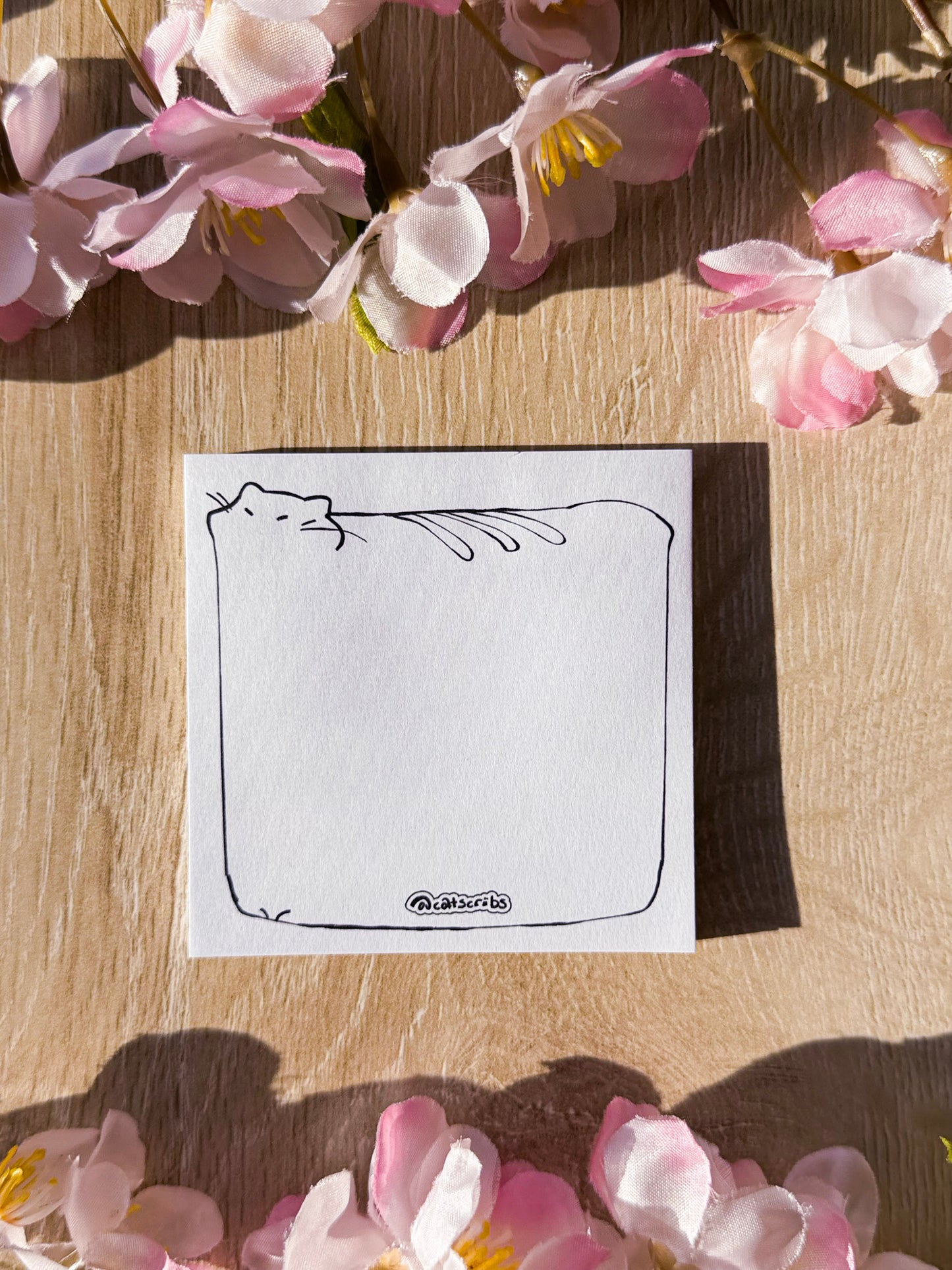 β¨π catscribs sticky notes β¨π