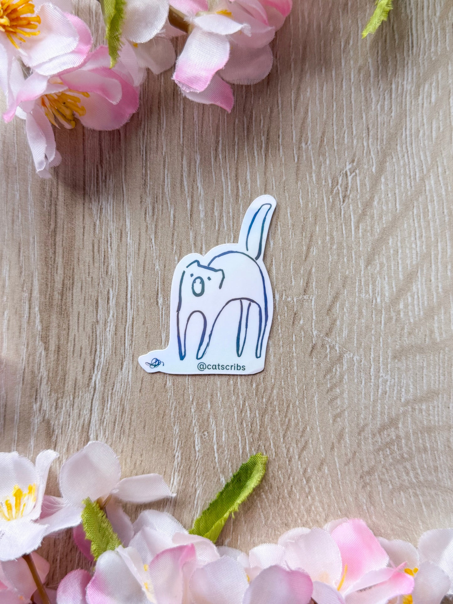 β¨π lil catscribs stickers β¨π