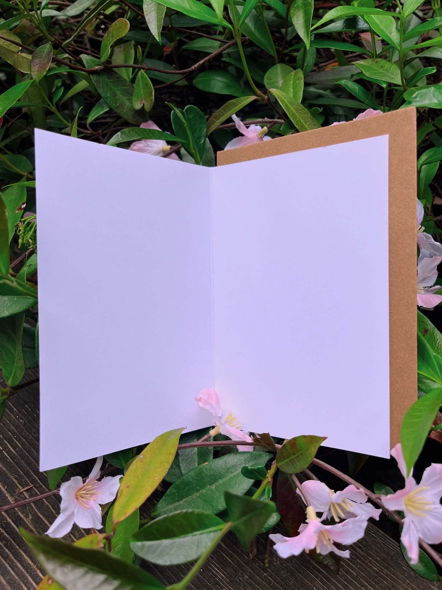 🌷moonubee greeting cards🌷