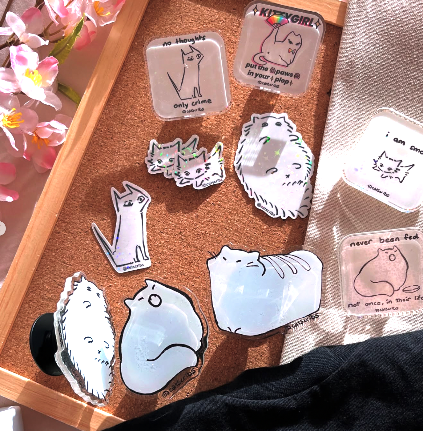 ✨🐈 catscribs 🐱✨