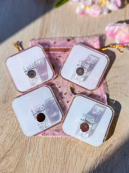 ✨🌷moonubee magnet clips 🌷✨