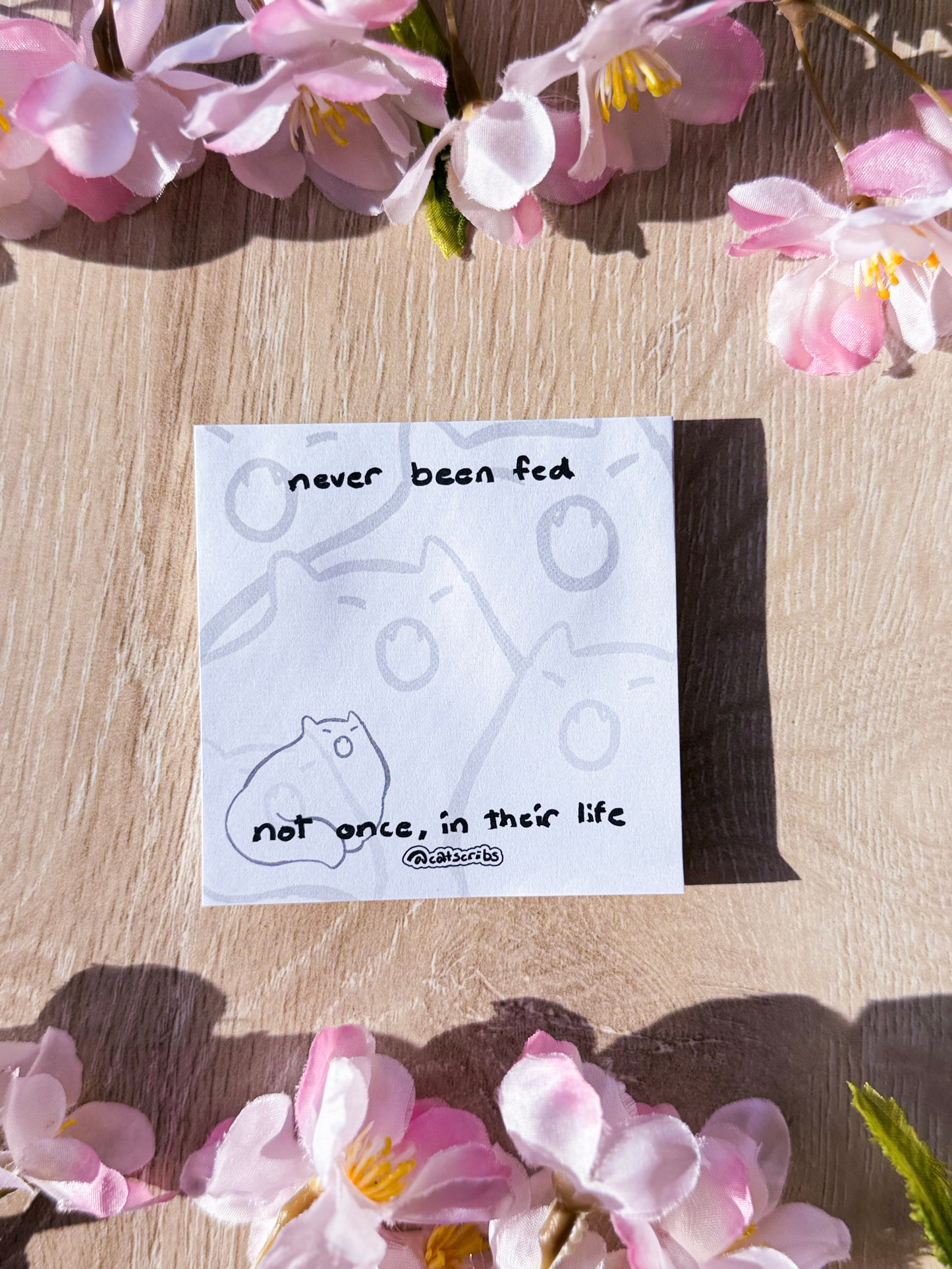 ✨🐈 catscribs sticky notes ✨📝