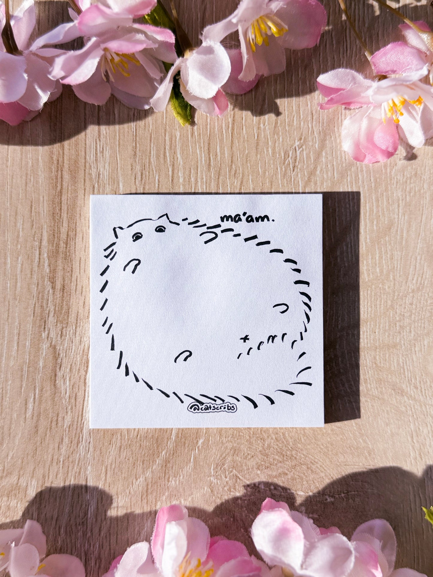 ✨🐈 catscribs sticky notes ✨📝