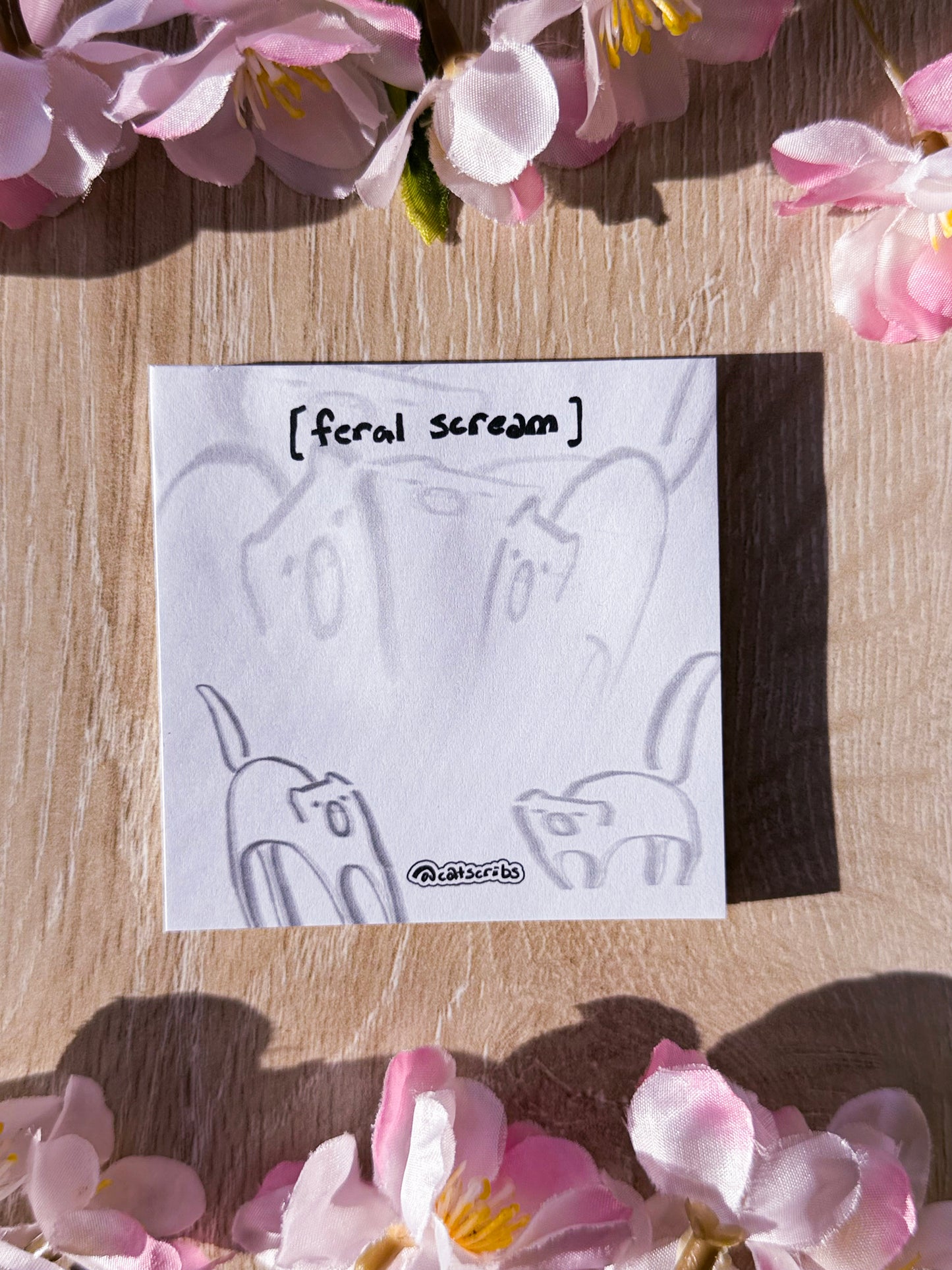 ✨🐈 catscribs sticky notes ✨📝